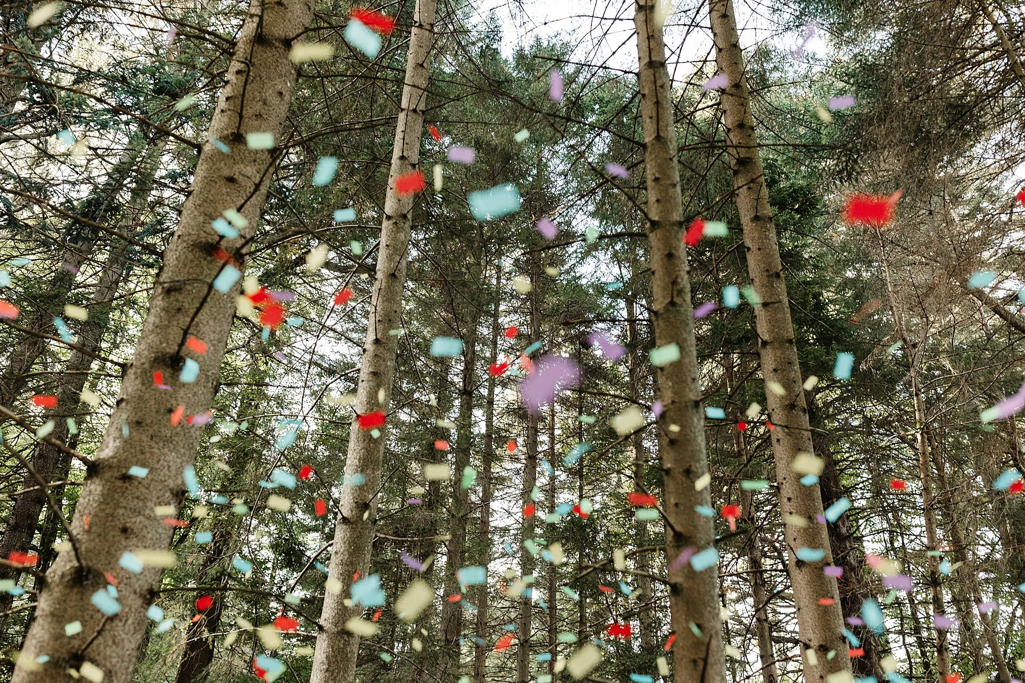 glendye confetti throw woodlands woods colourful