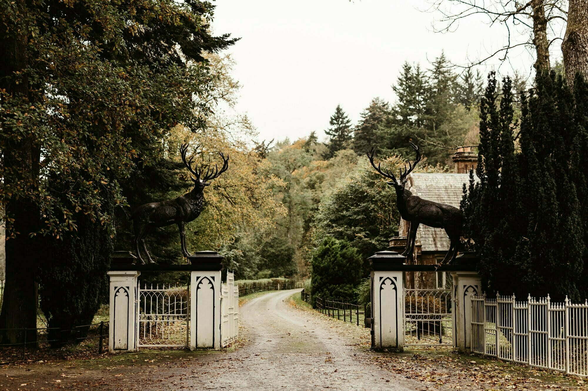 drumtochty castle wedding venue gate entrance autumn