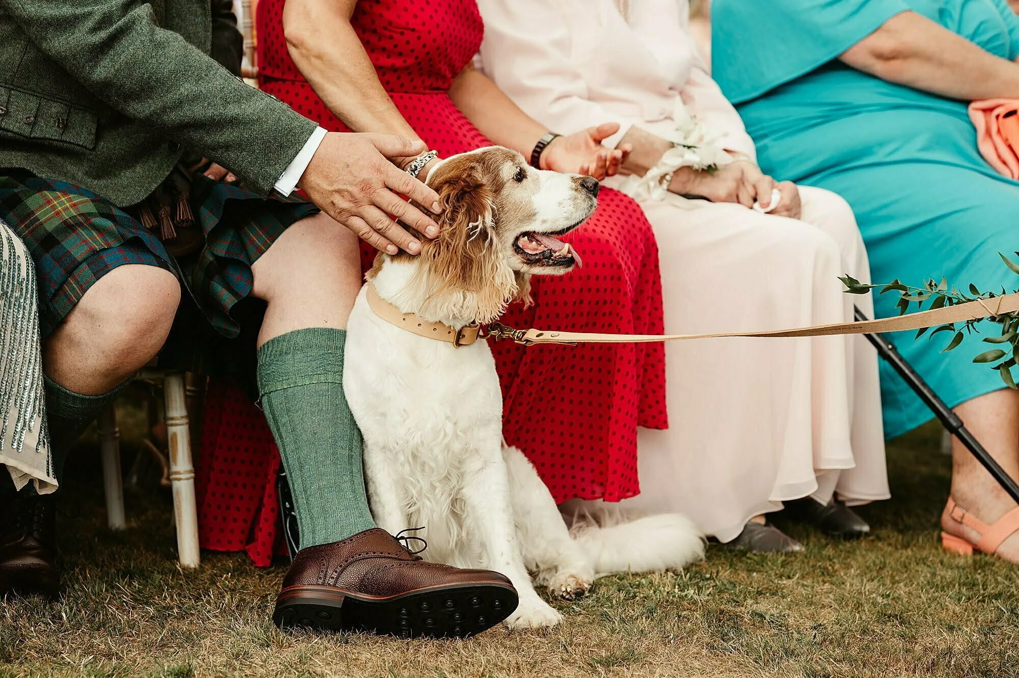 outdoor wedding ceremony gordon castle same sex couple dogs at weddings