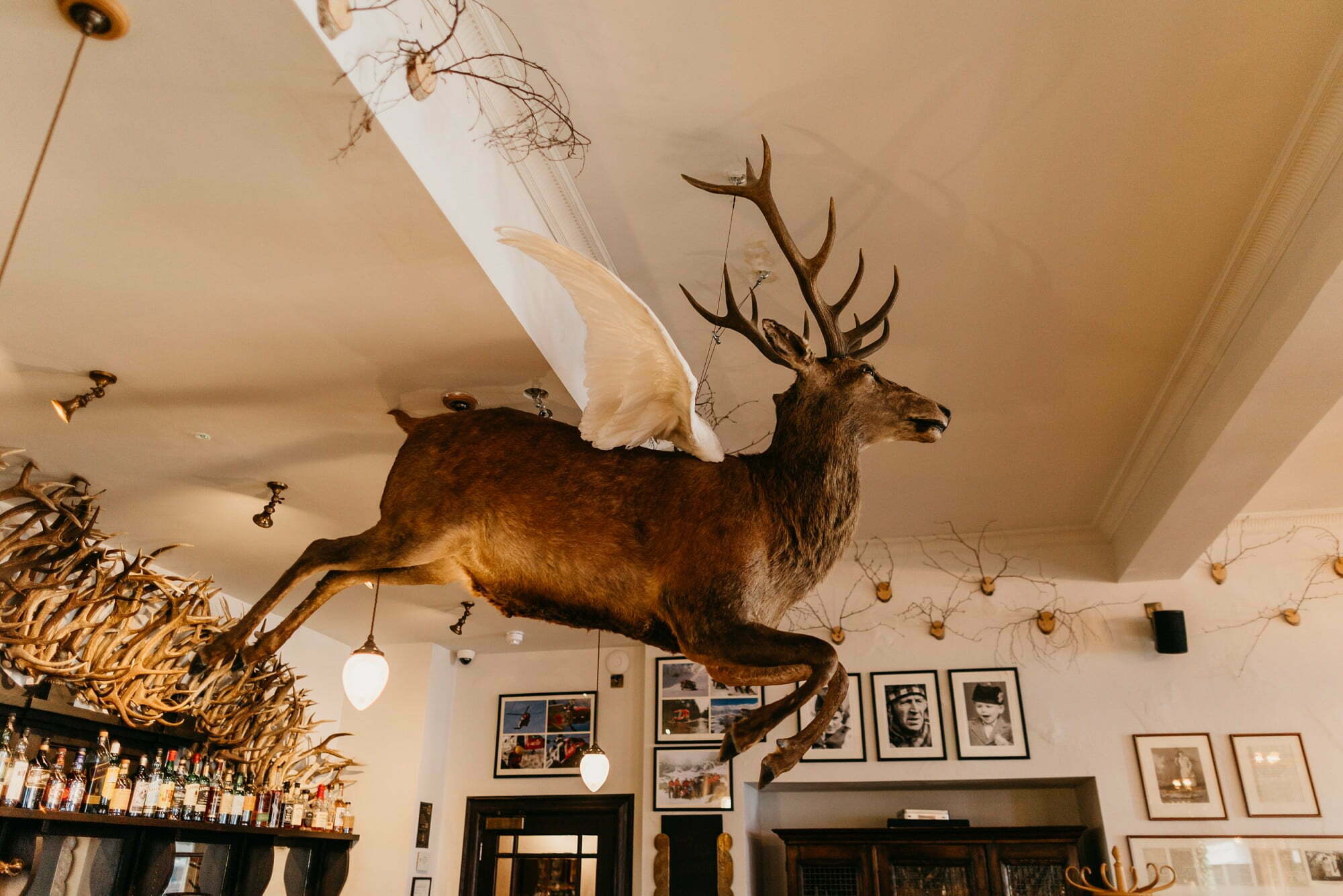 The fife arms braemar interior flying stag decoration