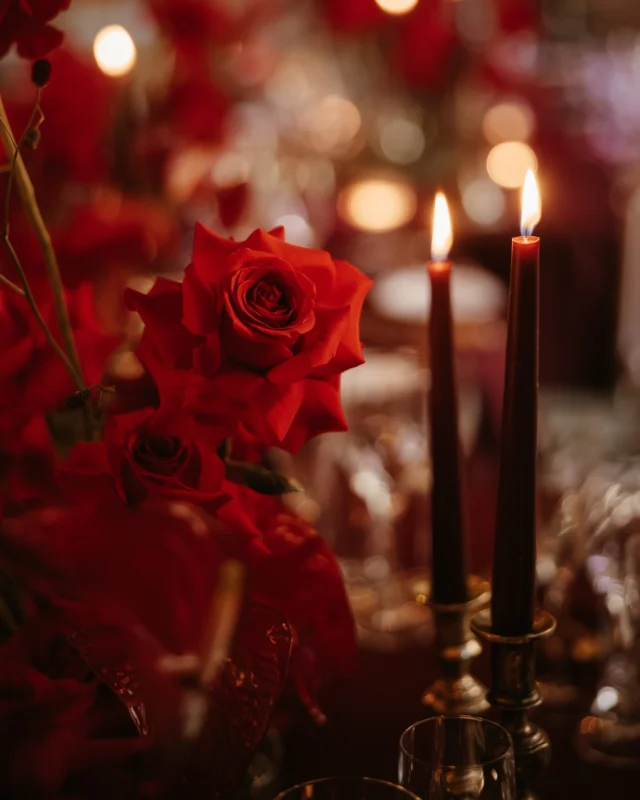 RED HOT ROMANCE at Drumtochty 

@kimdalglishflorist 
@drumtochtycastle 
@conceptadesigns 
@illumin8abdn 
@journalweddingfilms 

Scottish wedding photographer | Edinburgh wedding photographer | Scottish elopement | Elopement photographer | wedding editorial